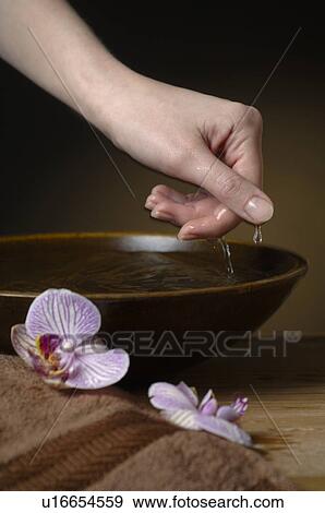 Stock Photo - Hand bath. Fotosearch