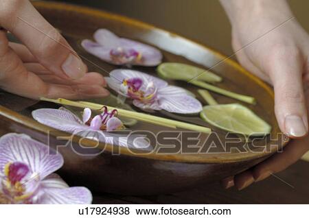Stock Photo - Hand bath with orchid blossoms ad limes. Fotosearch