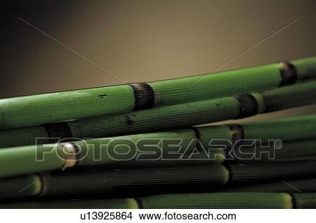 Horsetail View Large Photo Image Picture - Horsetail. Fotosearch