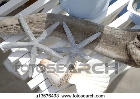Flotsam: mussels and starfishes View Large Photo Image Stock Image - Flotsam: mussels and starfishes. Fotosearch