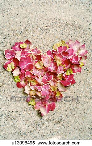 Heart made of blossoms View Large Photo Image Stock Photography - Heart made of blossoms. Fotosearch