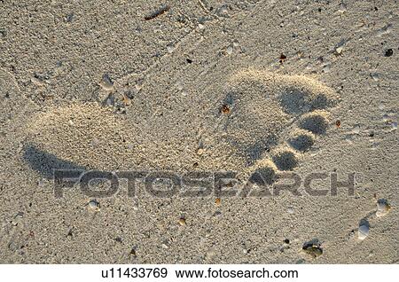 Seaside Holiday View Large Photo Image Stock Photo - Seaside Holiday. Fotosearch