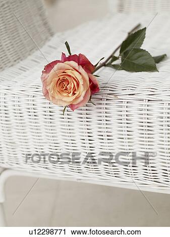 Rose on a basket chair View Large Photo Image Stock Image - Rose on a basket chair. Fotosearch
