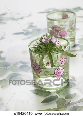 Stock Image - Sweet william in glasses with a flowery pattern. Fotosearch