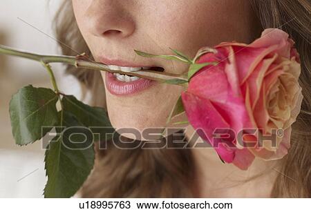 Stock Image - Woman with a rose in her mouth. Fotosearch