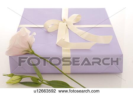 Stock Image - Gifft with a white flower. Fotosearch