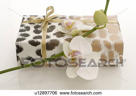 Gift and orchid blossoms View Large Photo Image Stock Photograph - Gift and orchid blossoms. Fotosearch