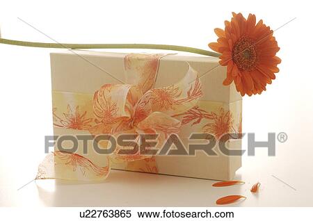 Stock Photography - Gift with a gerbera. Fotosearch