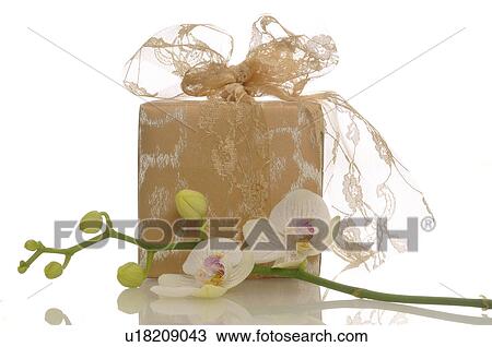 Gift with a orchid blossom View Large Photo Image Stock Image - Gift with a orchid blossom. Fotosearch