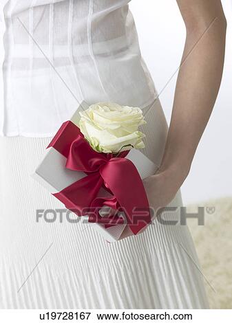 Stock Photo - Gift with a white rose blossom. Fotosearch