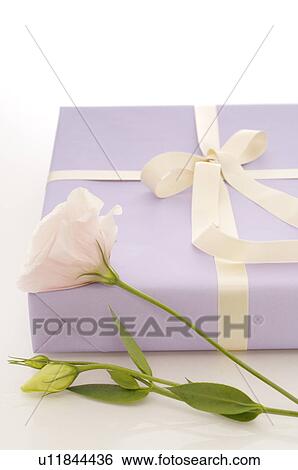 Gift with white flower View Large Photo Image Stock Photograph - Gift with white flower. Fotosearch