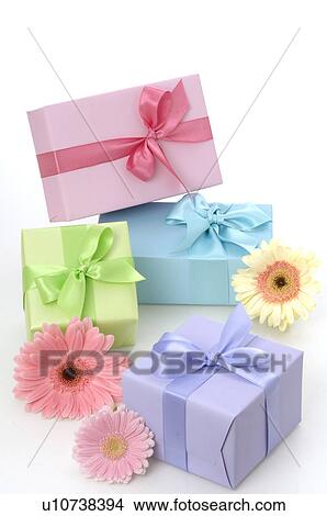 Gifts and gerbera blossoms View Large Photo Image Picture - Gifts and gerbera blossoms. Fotosearch