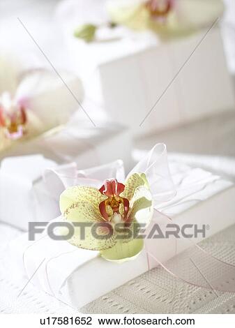 Orchid blossoms on white gifts View Large Photo Image Stock Image - Orchid blossoms on white gifts. Fotosearch