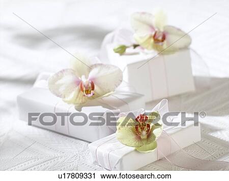 Stock Image - Orchid blossoms on white gifts. Fotosearch
