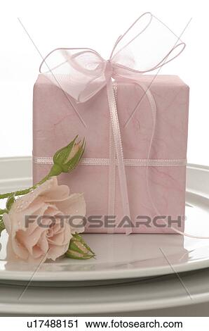 Pink rose and gift on the plate View Large Photo Image Stock Image - Pink rose and gift on the plate. Fotosearch