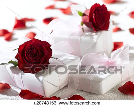 Stock Image - Red rose blossoms on gifts and petals. Fotosearch