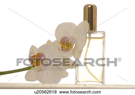 Stock Photo - Small perfume bottle and orchid blossoms. Fotosearch