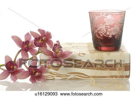 Table lantern, orchid blossoms and gifts View Large Photo Image Stock Image - Table lantern, orchid blossoms and gifts. Fotosearch