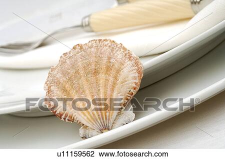 Place setting decorated with a mussel View Large Photo Image Stock Image - Place setting decorated with a mussel. Fotosearch