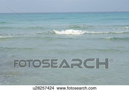 Picture - Sea and surf. Fotosearch