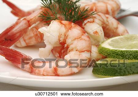 Shrimps View Large Photo Image Stock Image - Shrimps. Fotosearch