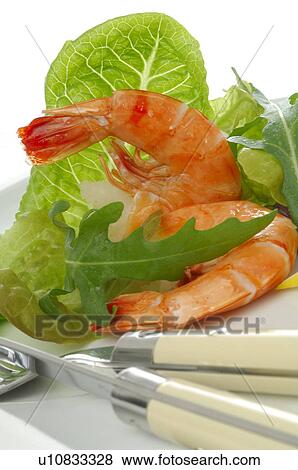 Stock Photo - Shrimps with salad and lemon. Fotosearch