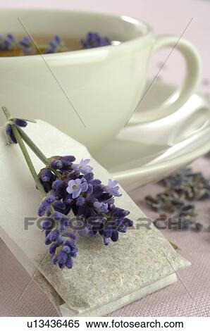 Stock Photography - A cup of lavender tea with tea bag. Fotosearch