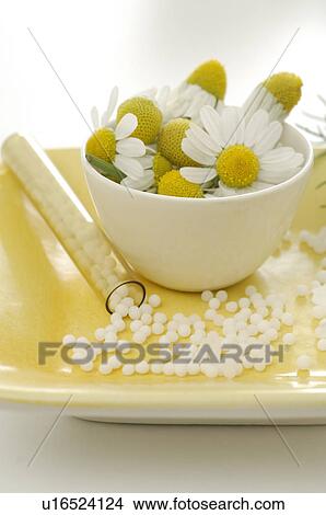 Camomile blossoms and globules View Large Photo Image Picture - Camomile blossoms and globules. Fotosearch