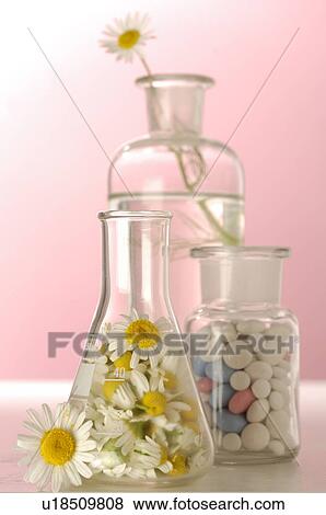 Camomile blossoms and pills in small bottles View Large Photo Image Stock Photo - Camomile blossoms and pills in small bottles. Fotosearch