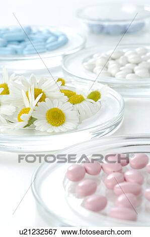 Camomile blossoms and pills View Large Photo Image Stock Photo - Camomile blossoms and pills. Fotosearch