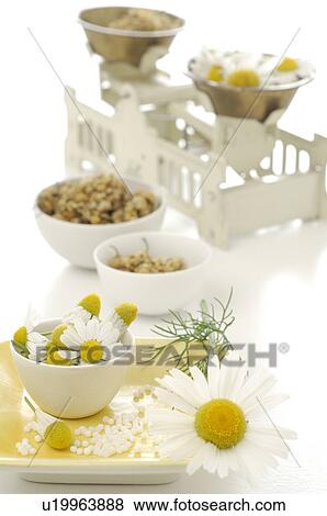 Camomile blossoms in bowls with a scale View Large Photo Image Stock Photo - Camomile blossoms in bowls with a scale. Fotosearch