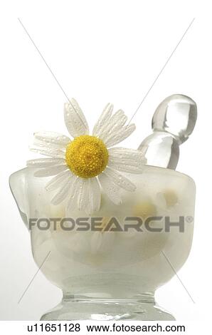 Stock Photo - Camomile in a motar. Fotosearch