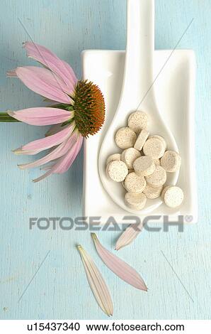 Stock Image - Echinacea blossom in a small bowl with pills in a spoon. Fotosearch