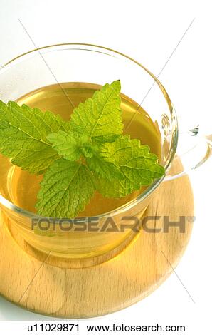 Stock Image - Lemon balm tea. Fotosearch