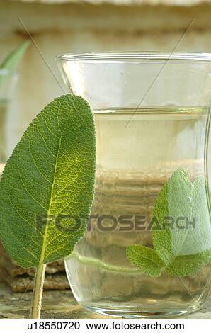 Stock Image - Sage tea. Fotosearch
