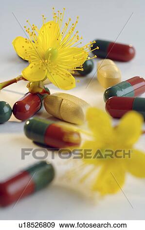 Stock Photo - St. Johns wort pills. Fotosearch
