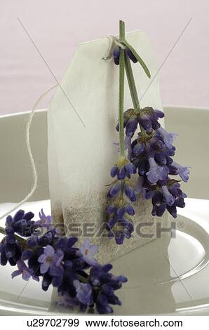 Tea bag and lavender tea View Large Photo Image Stock Photo - Tea bag and lavender tea. Fotosearch