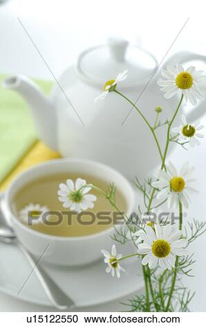 Stock Image - Teapot and teacup with camomile blossoms. Fotosearch