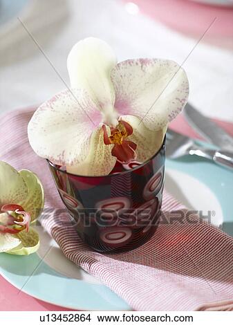 Orchid blossom in a red glass View Large Photo Image Picture - Orchid blossom in a red glass. Fotosearch