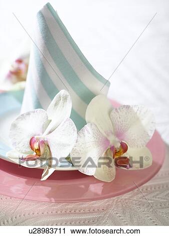Place setting with a napkin and white orchid blossoms View Large Photo Image Stock Image - Place setting with a napkin and white orchid blossoms. Fotosearch