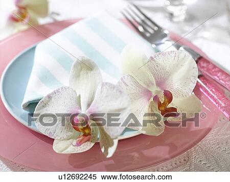 Place setting with a napkin and white orchid blossoms View Large Photo Image Stock Photography - Place setting with a napkin and white orchid blossoms. Fotosearch