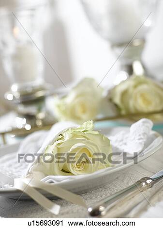 Place setting with a white rose wrapped in a napkin View Large Photo Image Stock Image - Place setting with a white rose wrapped in a napkin. Fotosearch