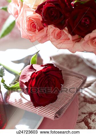 Place setting with napkin and a red rose View Large Photo Image Stock Image - Place setting with napkin and a red rose. Fotosearch