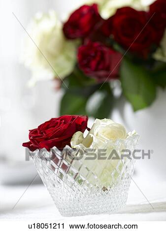 Red rose in a crystal glass View Large Photo Image Stock Image - Red rose in a crystal glass. Fotosearch