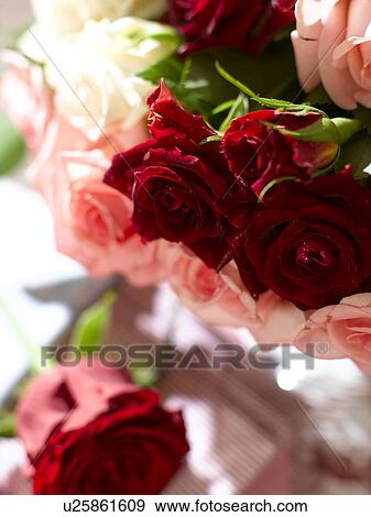 Rose arrangement, close up View Large Photo Image Stock Photo - Rose arrangement, close up. Fotosearch