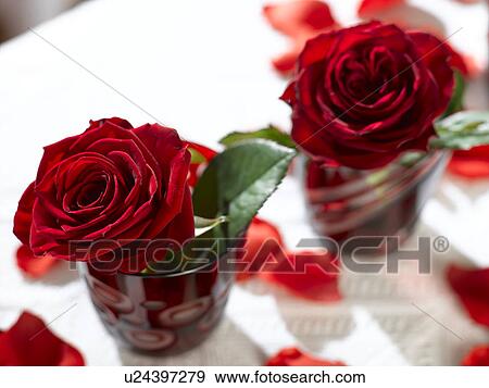 Stock Photo - Two red roses in red glasses. Fotosearch