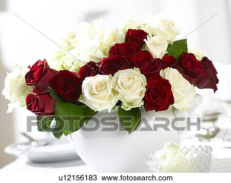 White and red rose bouquet View Large Photo Image Stock Image - White and red rose bouquet. Fotosearch