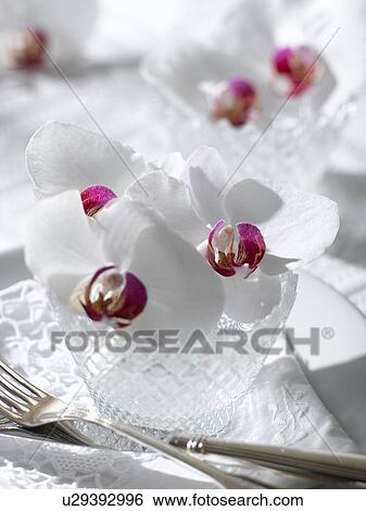 Stock Photograph - White orchid blossoms in a crystal glass. Fotosearch