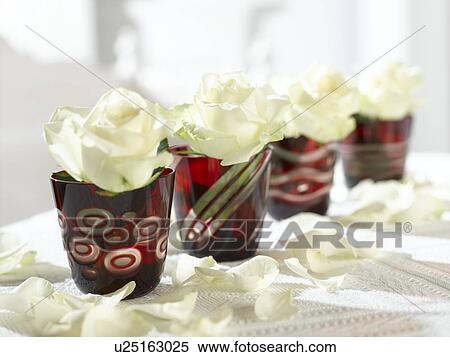 White roses in red glasses View Large Photo Image Stock Photography - White roses in red glasses. Fotosearch