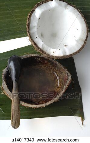 Coconut and coconut oil View Large Photo Image Stock Photo - Coconut and coconut oil. Fotosearch